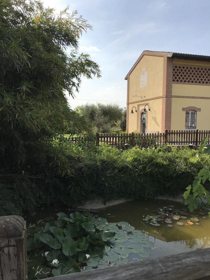 Agriturismo Corte Salandini Hotel Ponti sul Mincio Eksteriør billede
