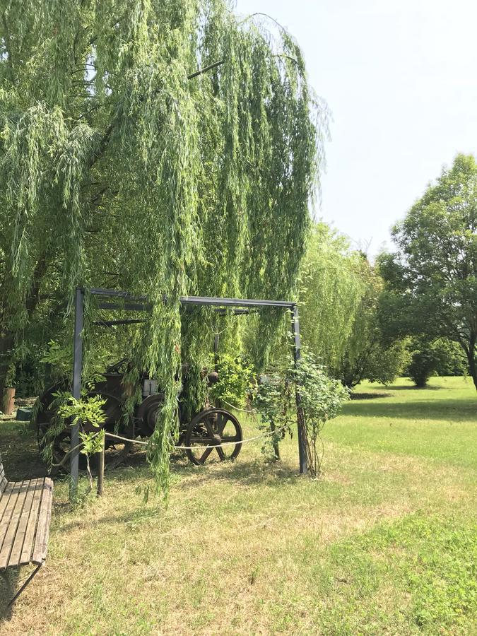 Agriturismo Corte Salandini Hotel Ponti sul Mincio Eksteriør billede