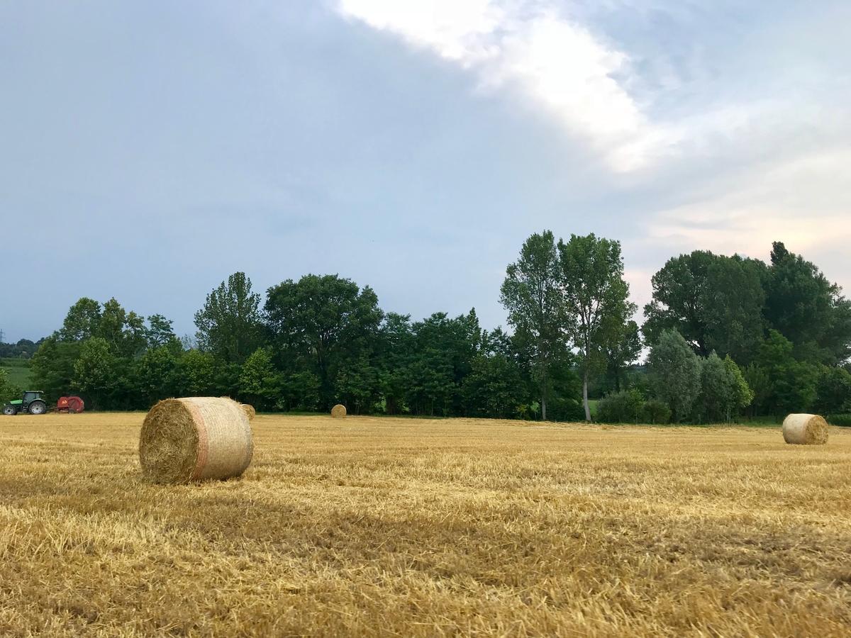 Agriturismo Corte Salandini Hotel Ponti sul Mincio Eksteriør billede